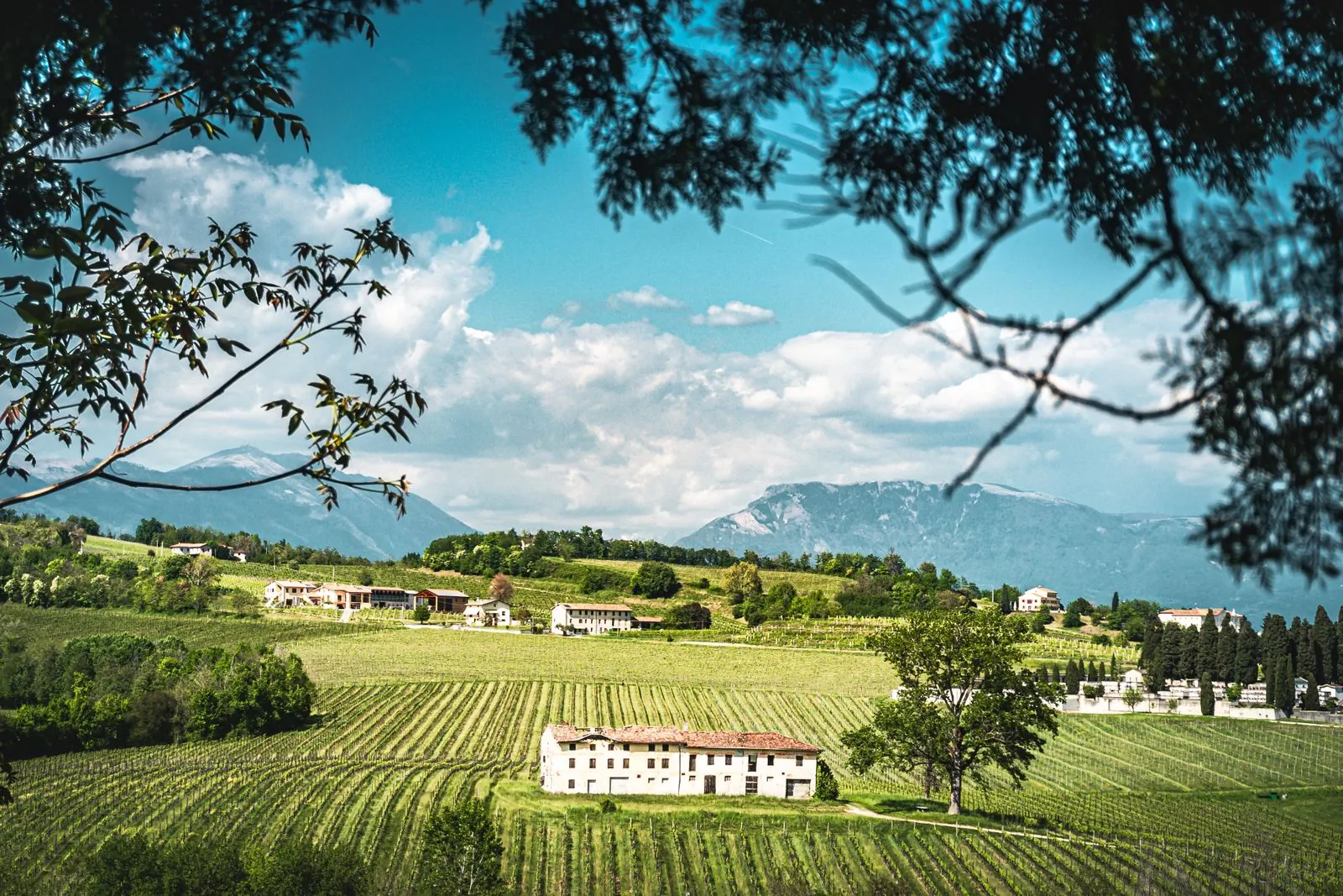 Wijnroutes in Veneto's heuvels