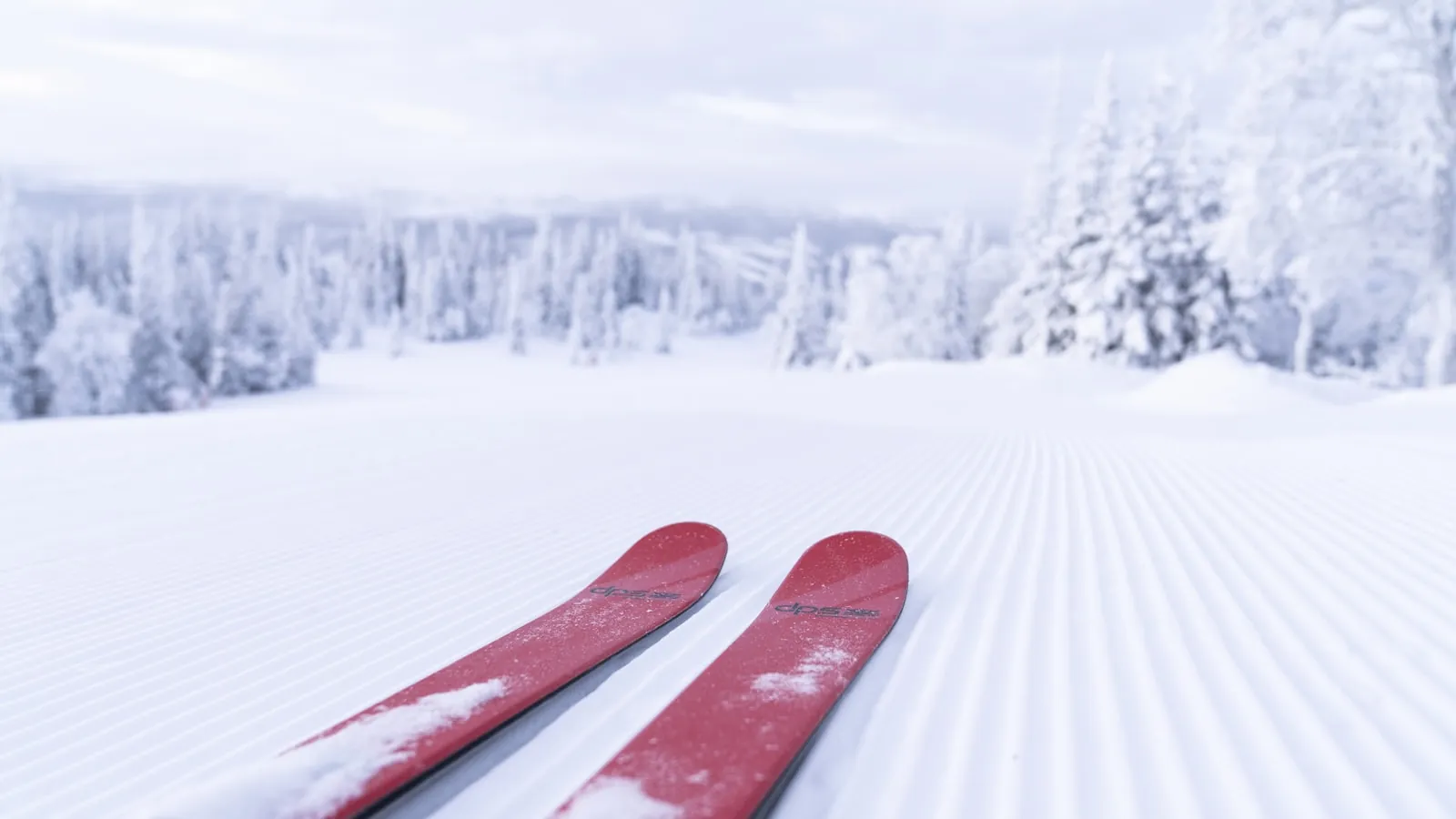 Langlaufen op de goed onderhouden pistes van Åre