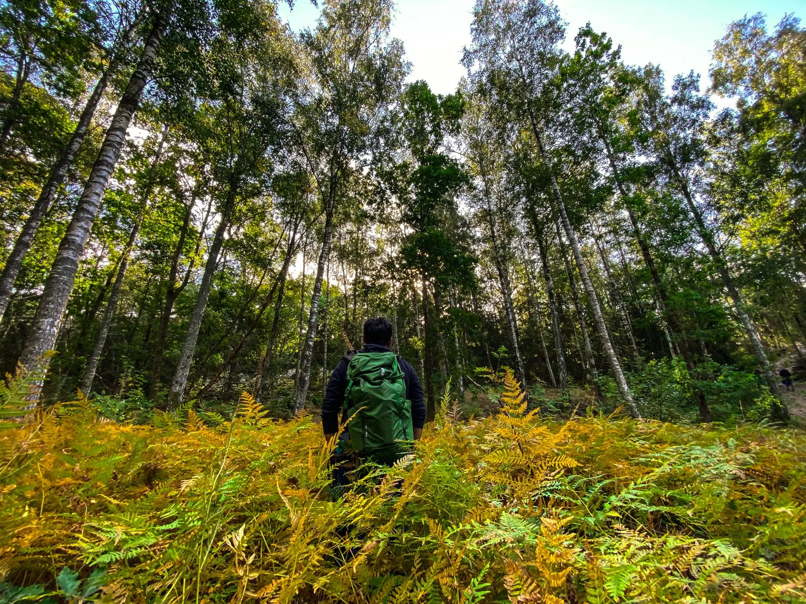 Wandelen en picknicken in de bossen van Norrbyskär