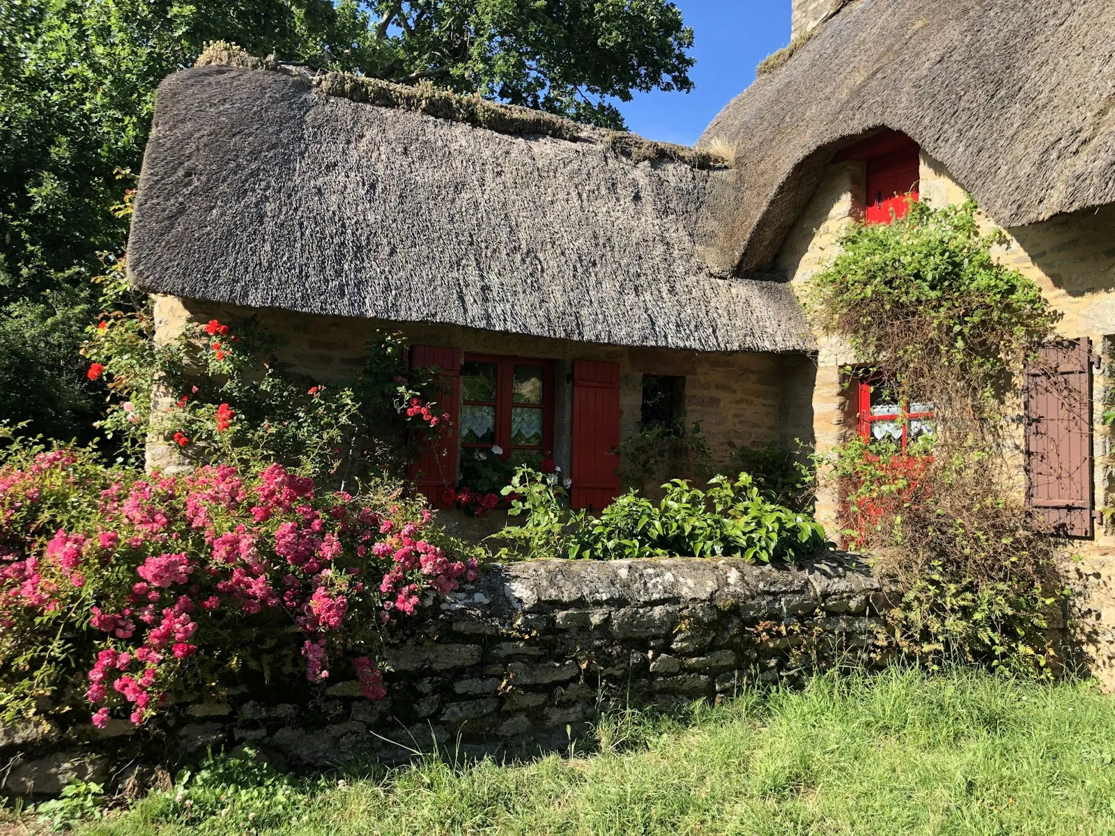 Vakantiehuis hond welkom in Frankrijk