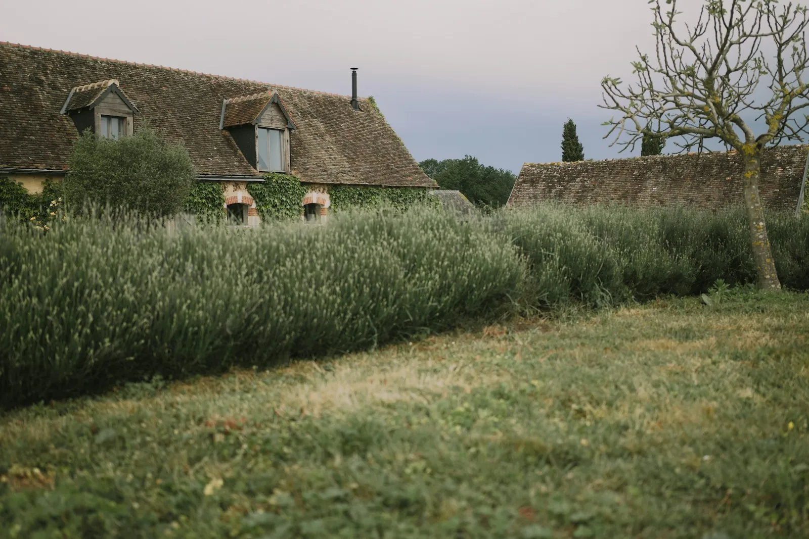 Vakantiehuis kindvriendelijk in Frankrijk