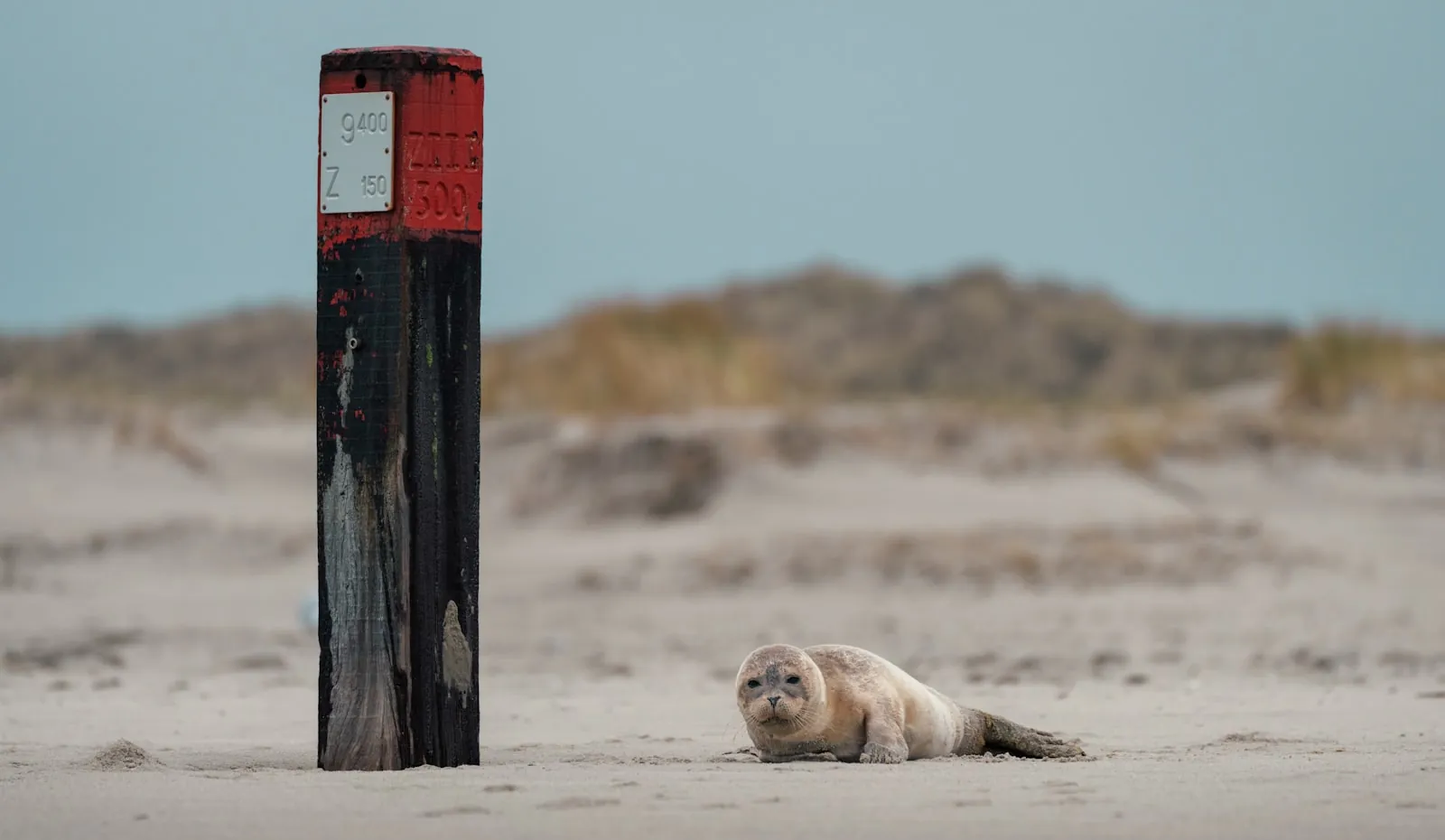 Vakantiehuis in Gemeente Terschelling