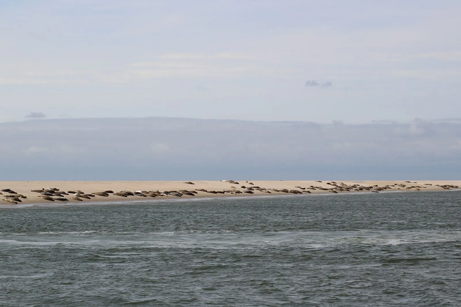 Vakantiehuis in Midsland