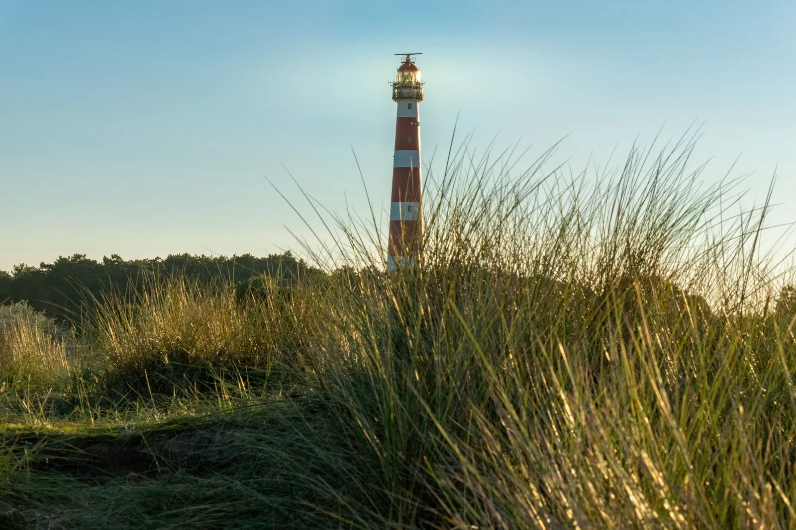 Duinlandschap Ameland: wat maakt het anders?
