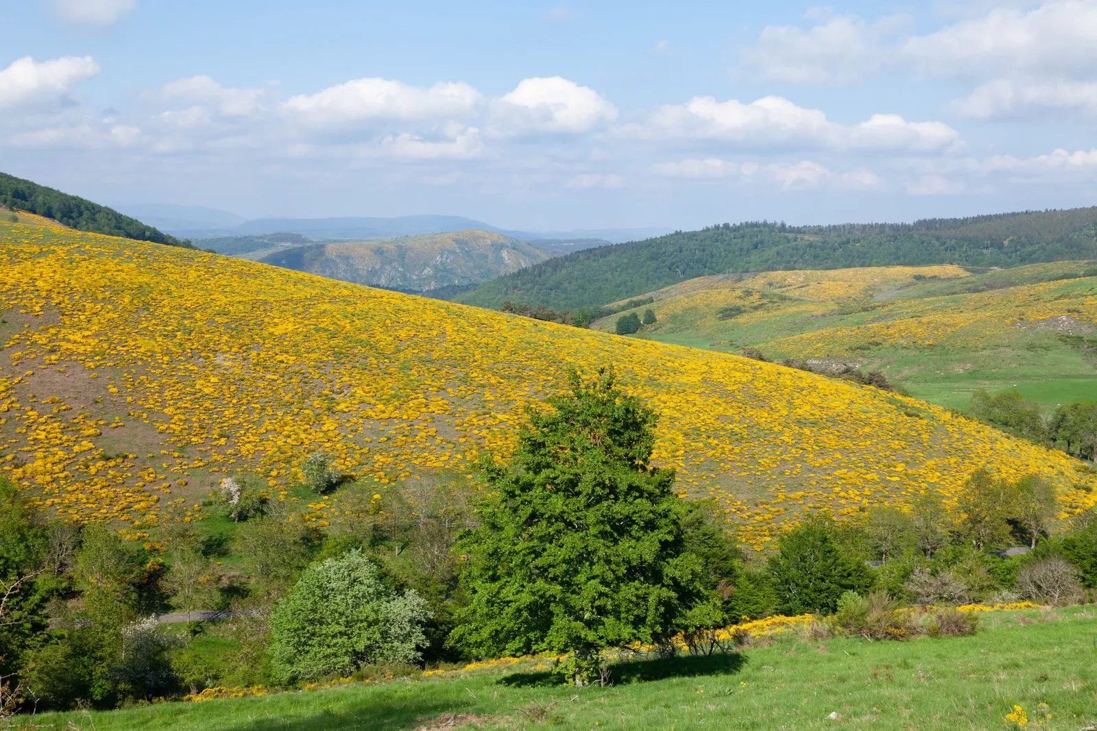 Wat maakt de Pyreneeën zo bijzonder?