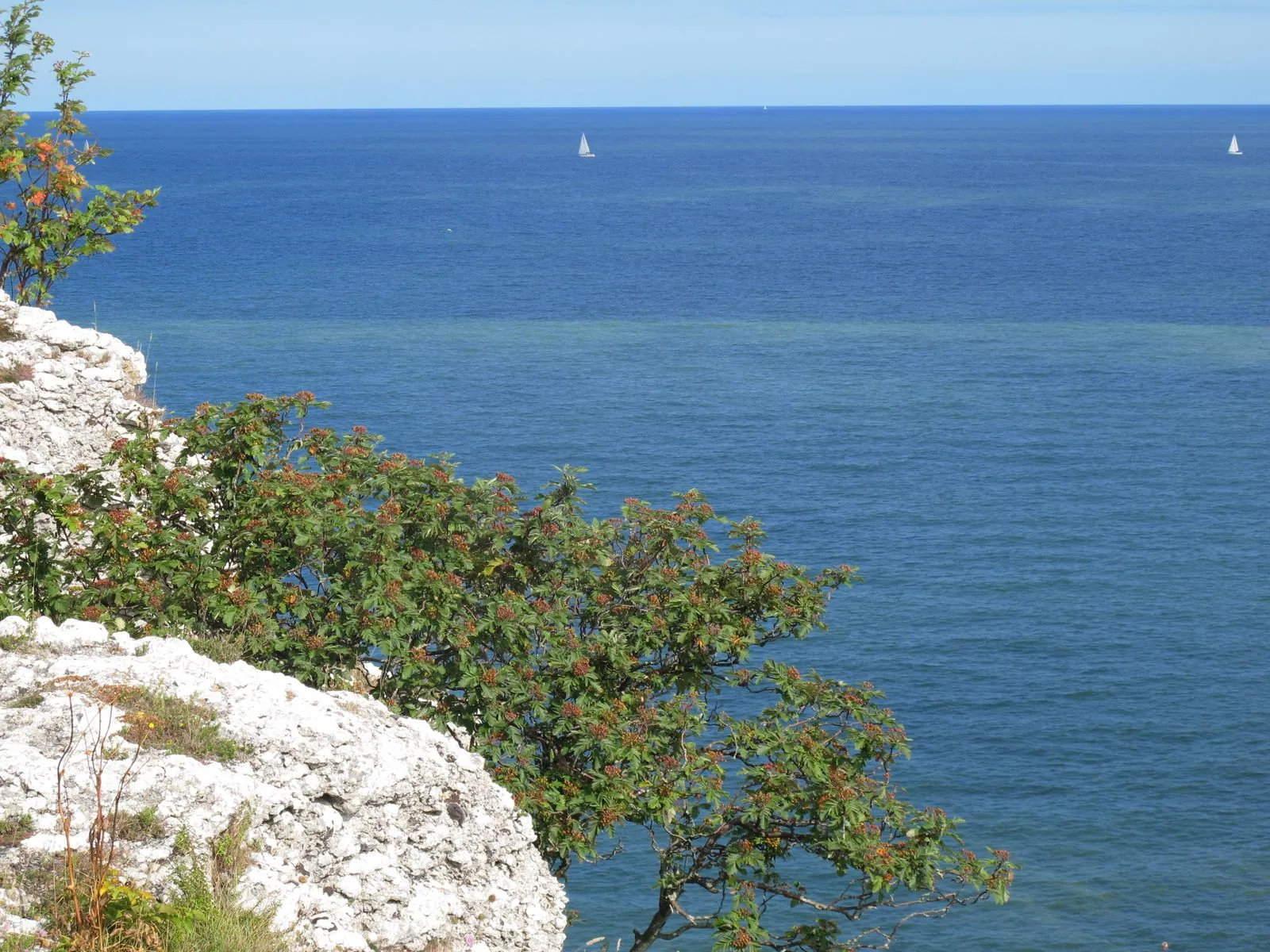 Een bezoek aan Fårö, het eiland van Ingmar Bergman