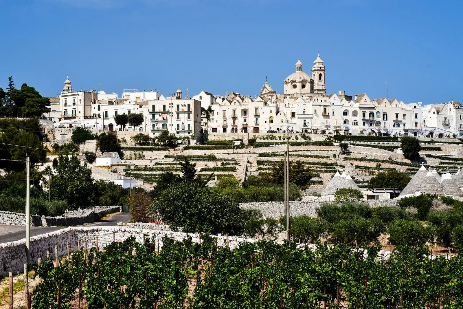 Wijnproeven bij lokale wijngaarden in Alberobello