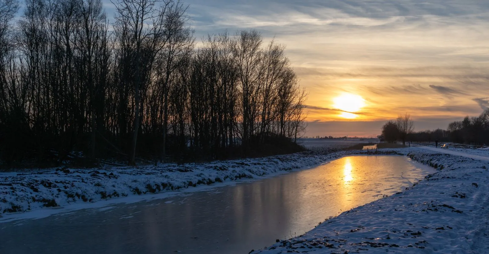 Natuur in 's-Gravenzande: wat te zien?