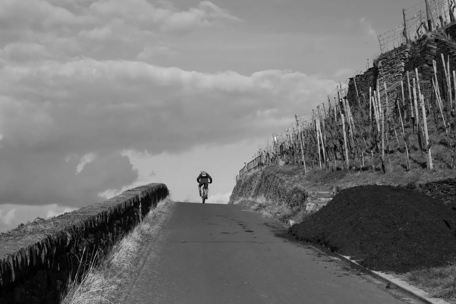 Fietsen langs de wijngaarden van Rüdesheim