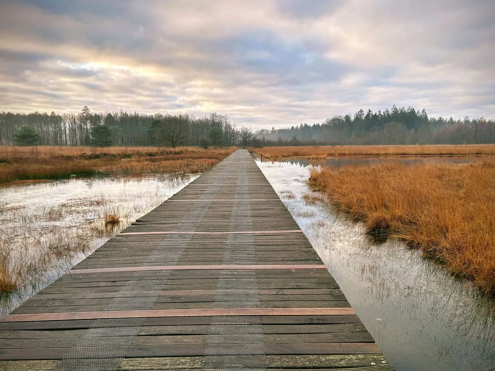 Wandelroute in Nationaal Park Lauwersmeer