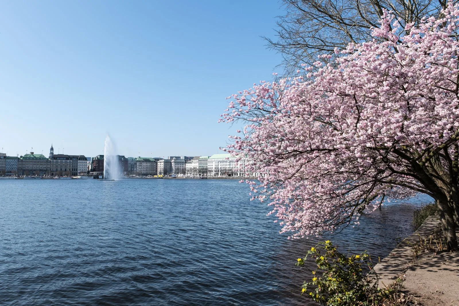 Een tour door het havengebied van Hamburg