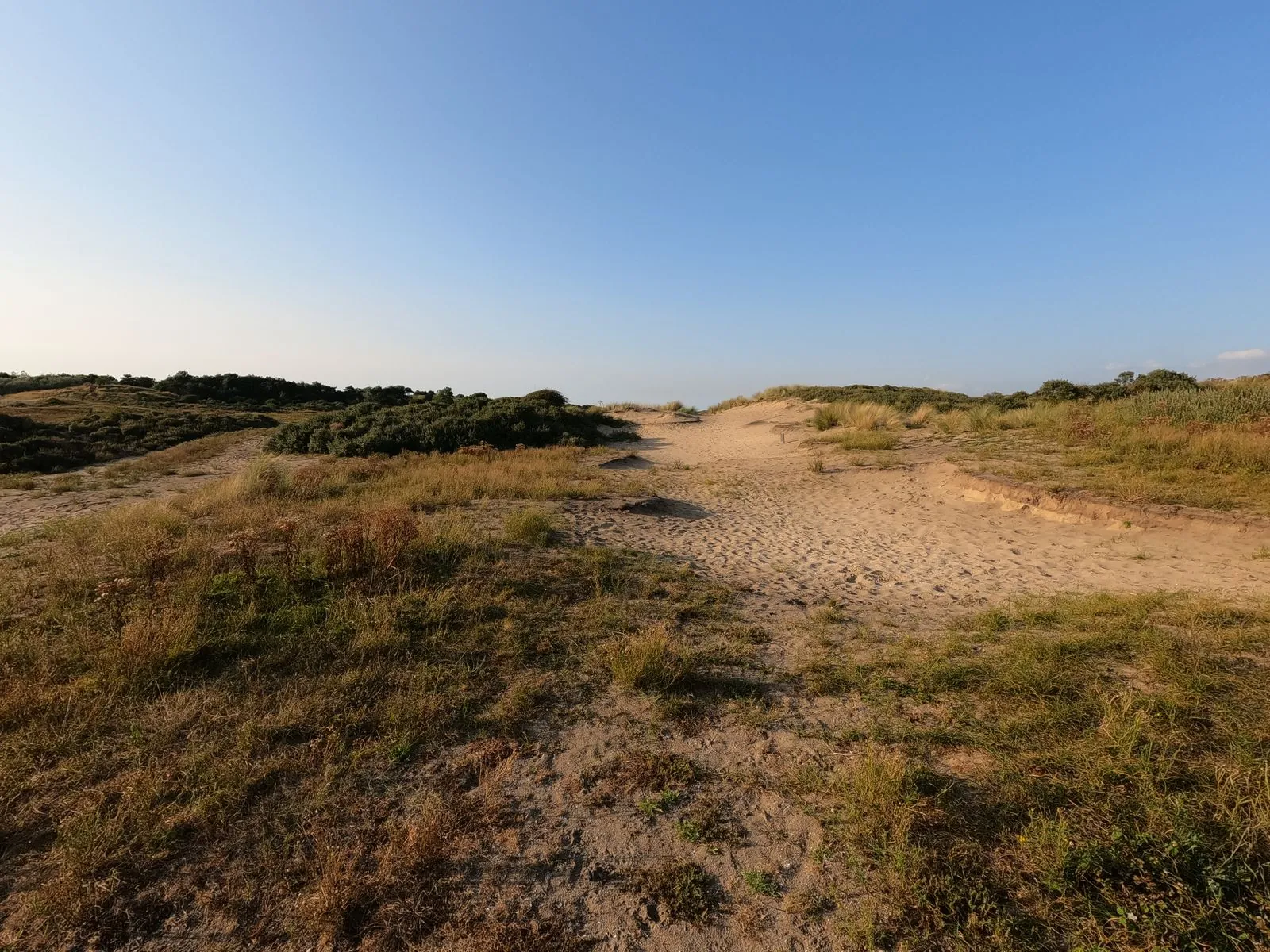 Wandelen in de Zak van Zuid-Beveland