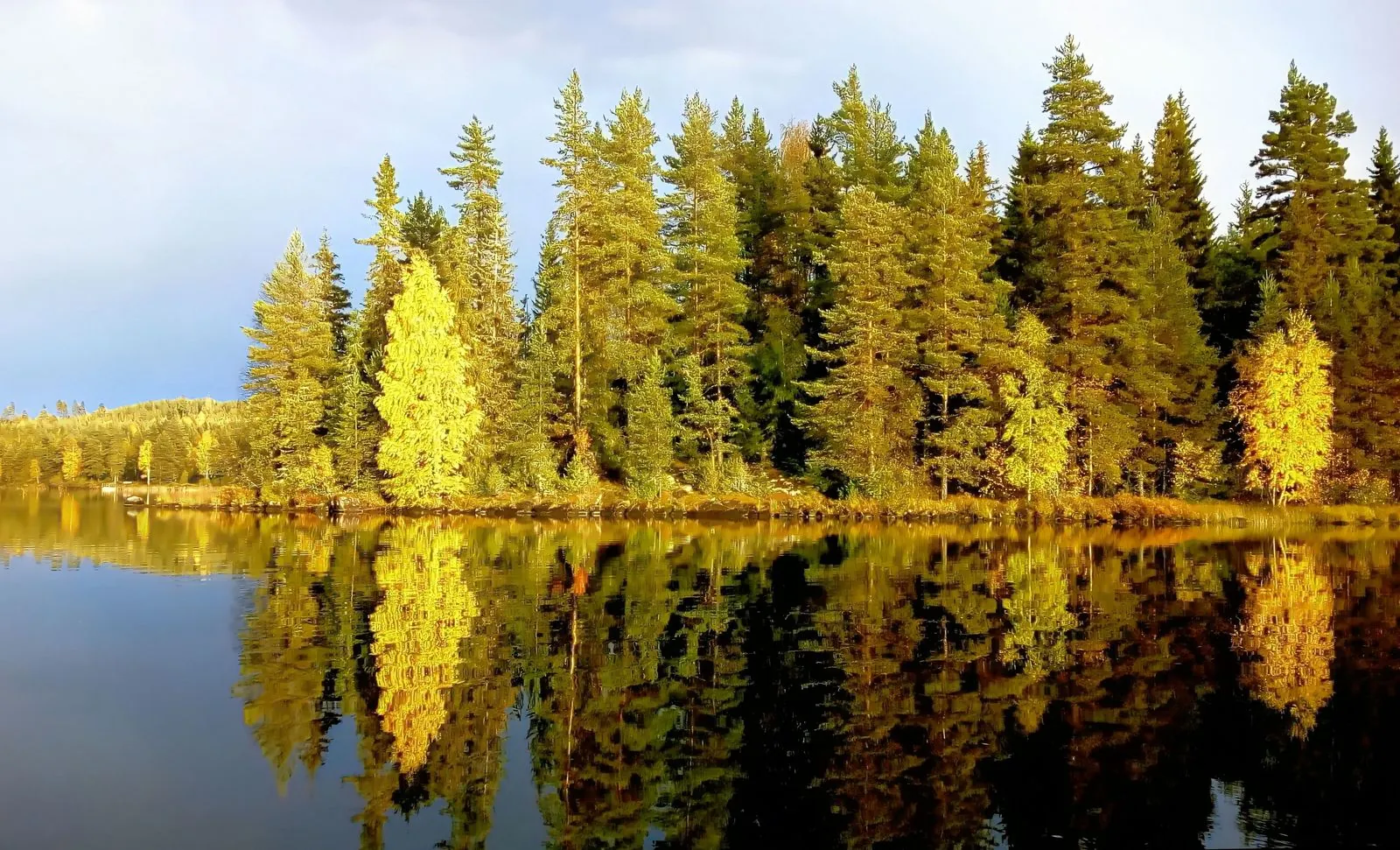 De natuurlijke schoonheid van Dalarna ontdekken: van bossen tot meren