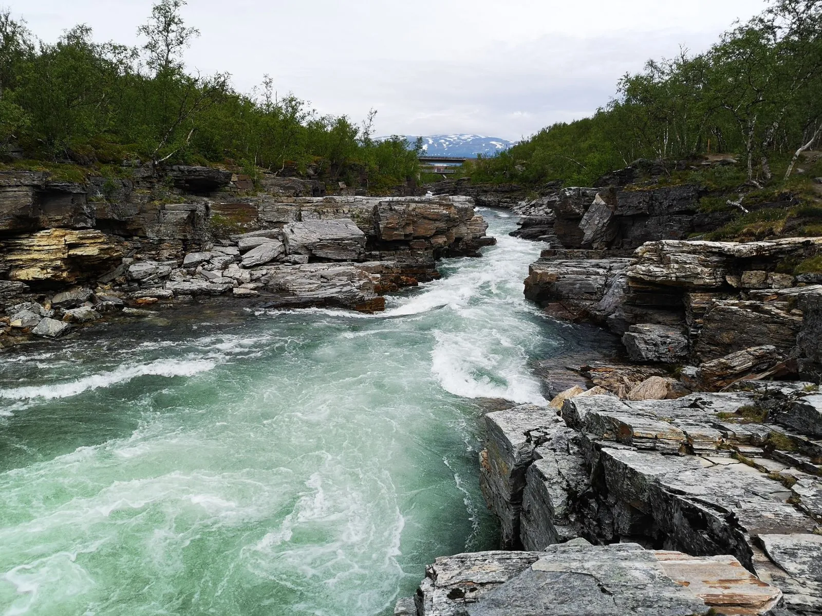 Het noorderlicht ervaren in Abisko Nationaal Park