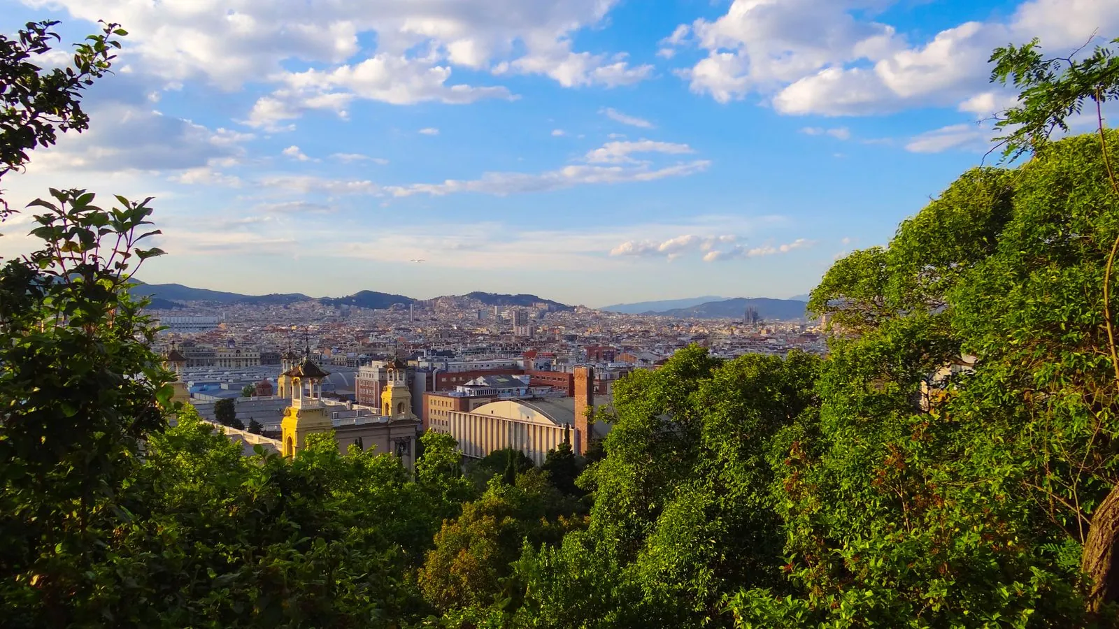Cultuur en natuur combineren in één dag Barcelona