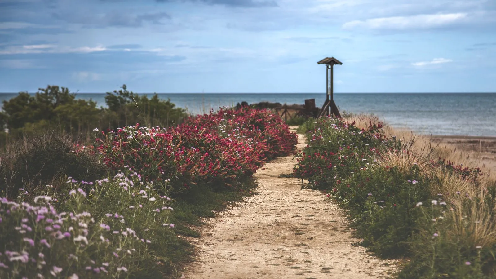 Dagtrips met kinderen naar strand of natuur rond Catania