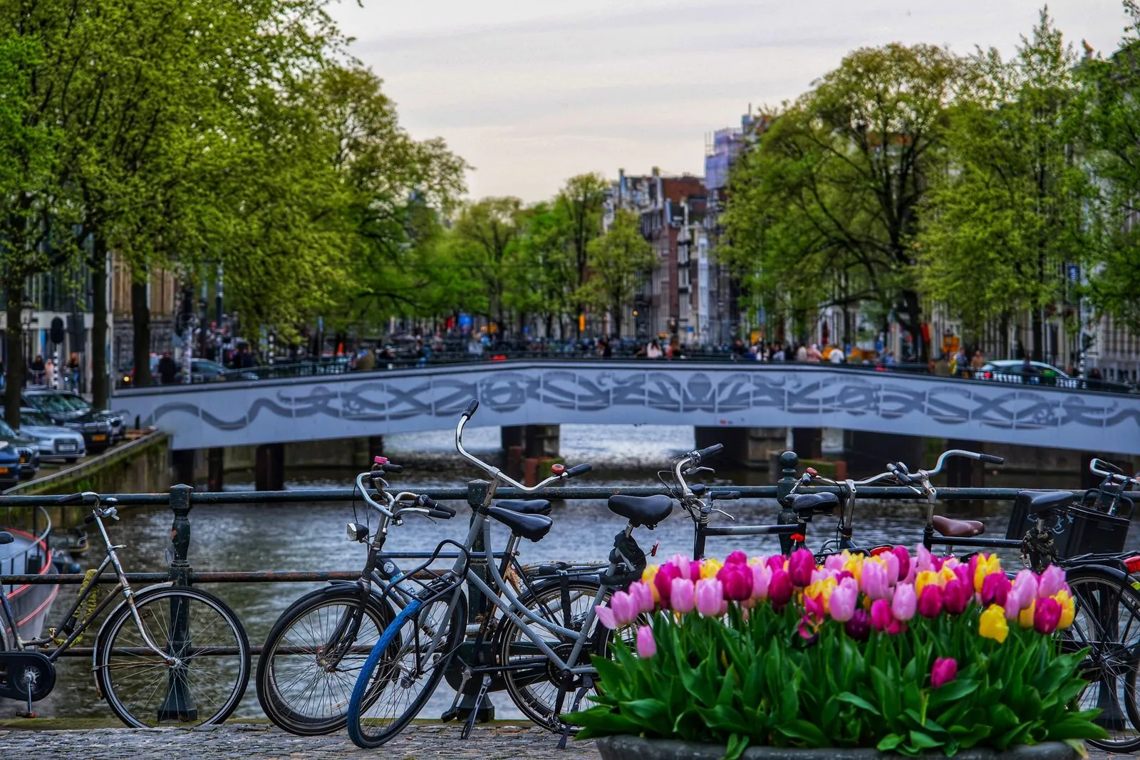 Welke buurt is het leukst om te eten in Amsterdam