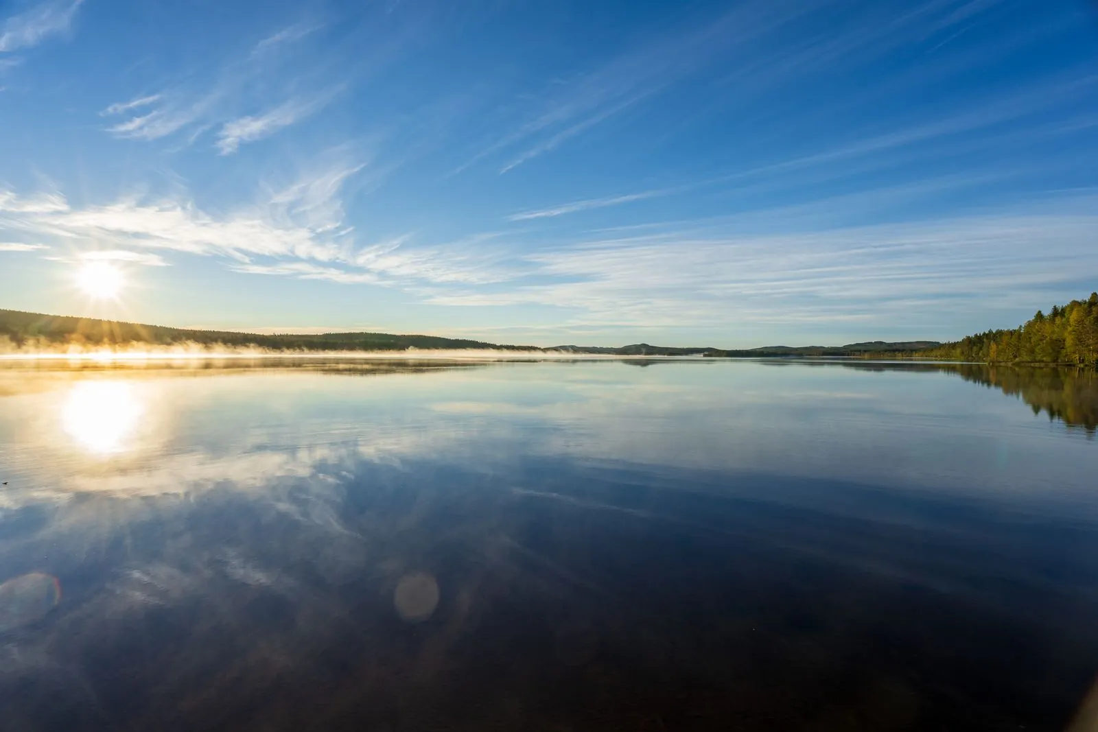 Ontdek de natuur van Varmland in Glaskogen natuurreservaat