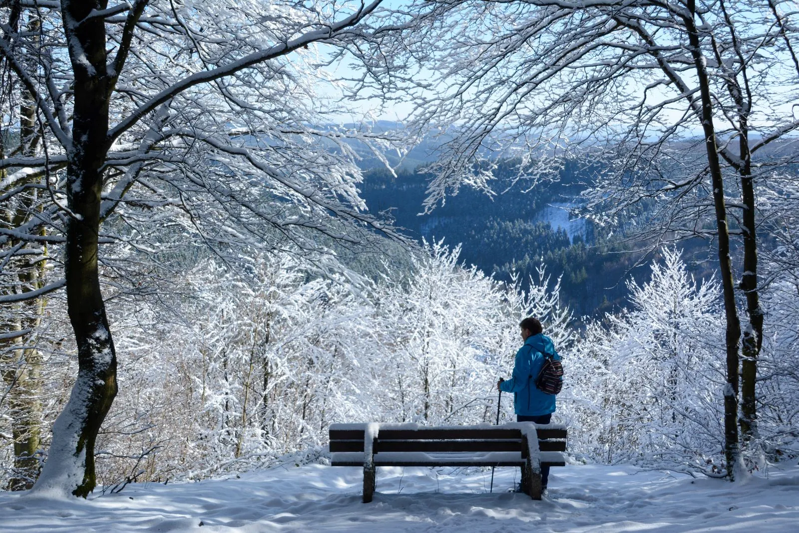Wandelroutes bij Winterberg en Willingen