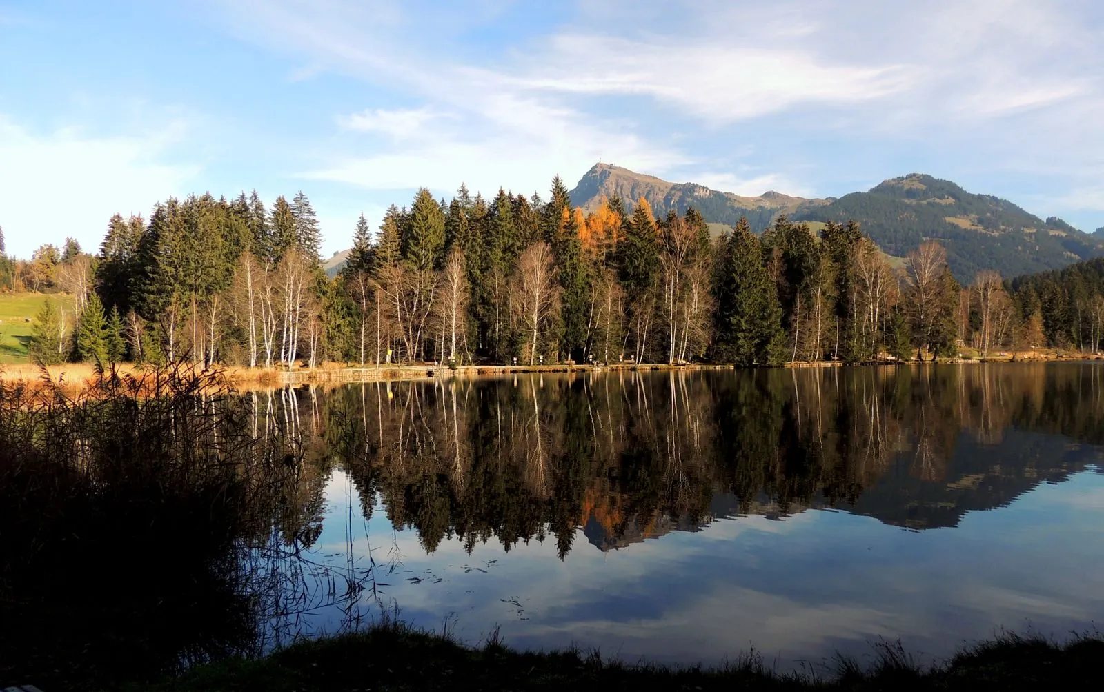 Waterpret bij beekjes en meren in de Kitzbüheler Alpen