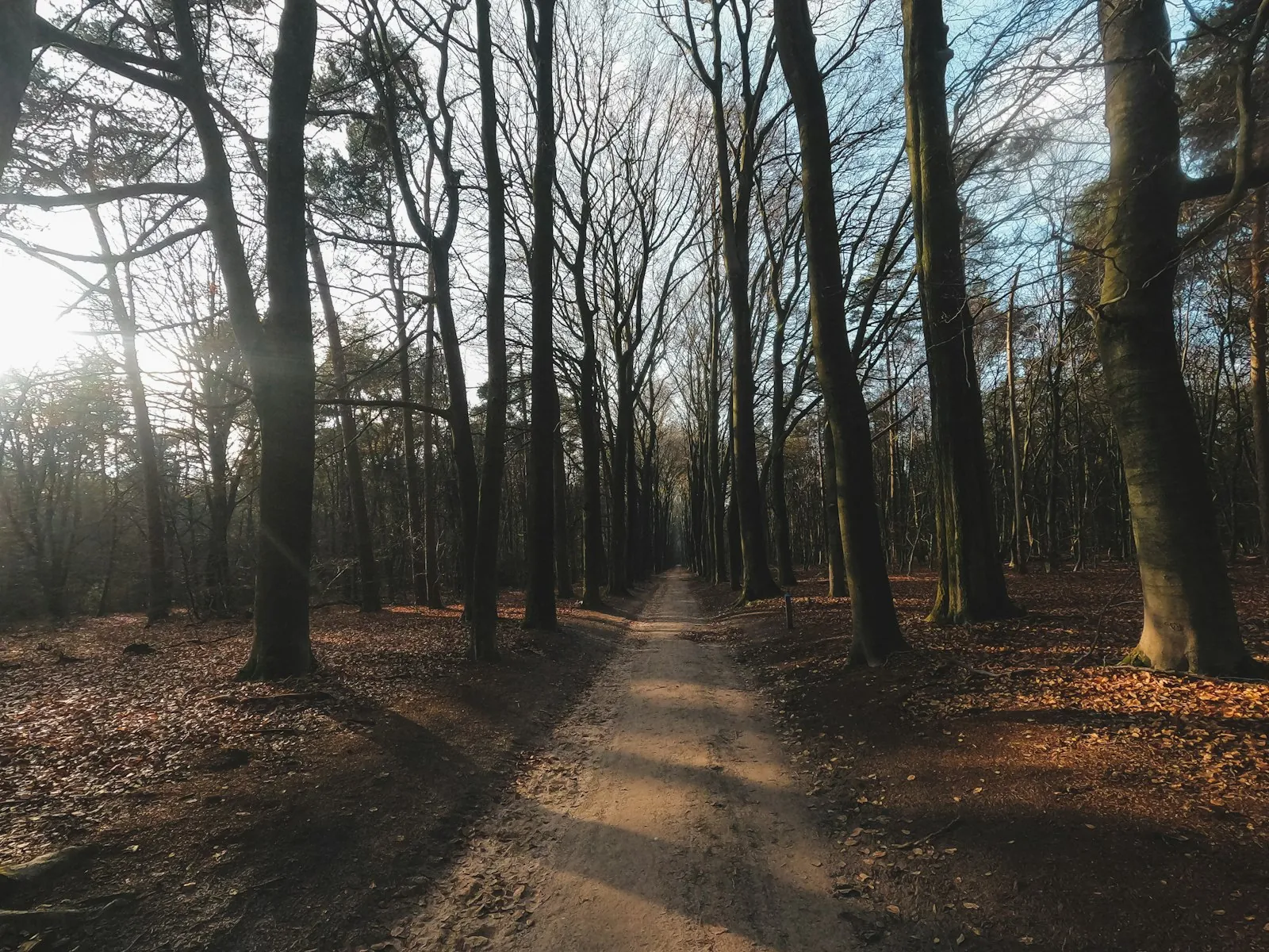 Wandelen en relaxen op Landgoed Stakenberg