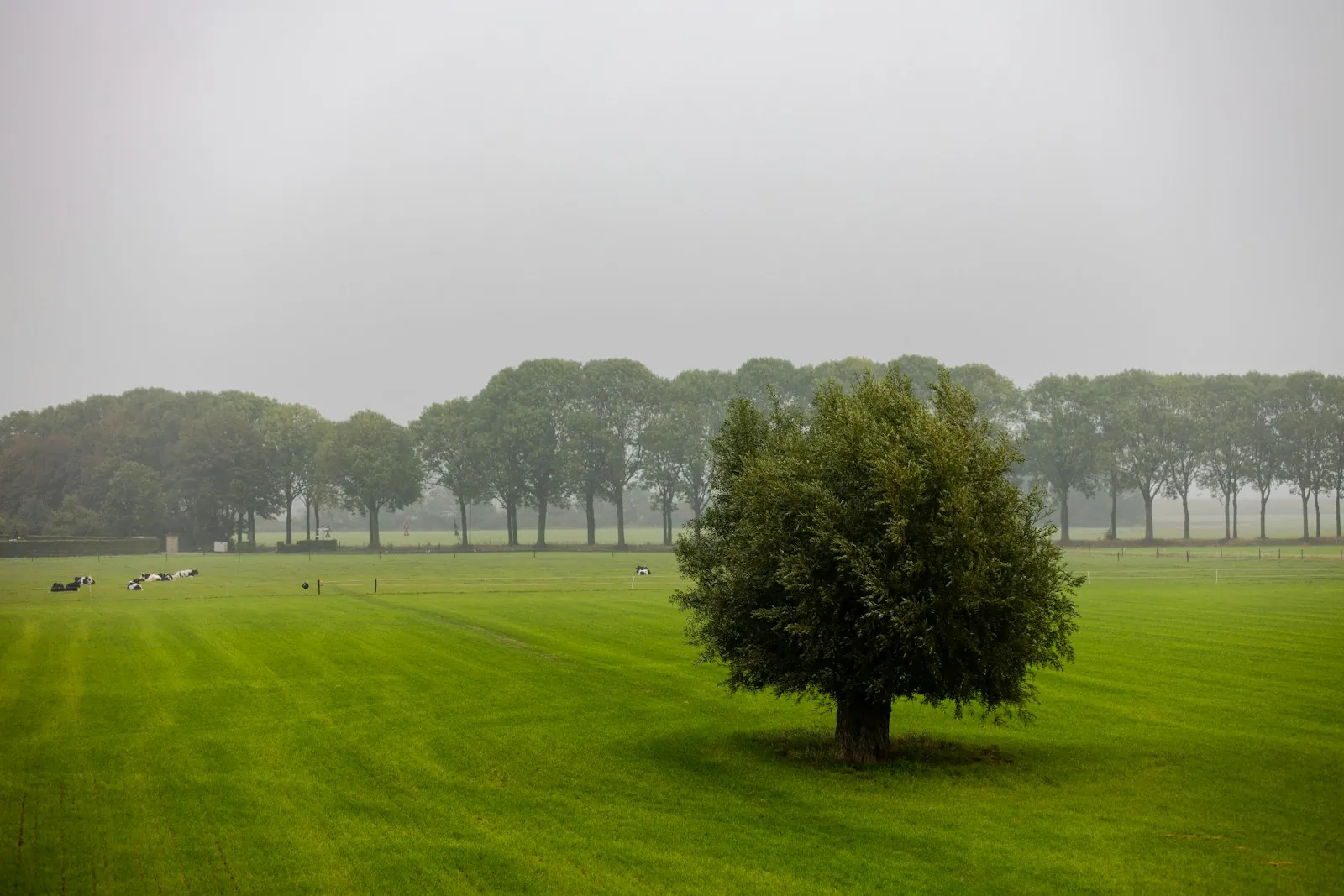Vakantiehuis golfvakantie in Nederland