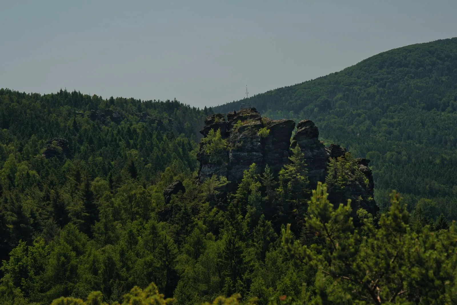 Het uitgestrekte woud van het Hunsrück-Hochwald Nationaal Park
