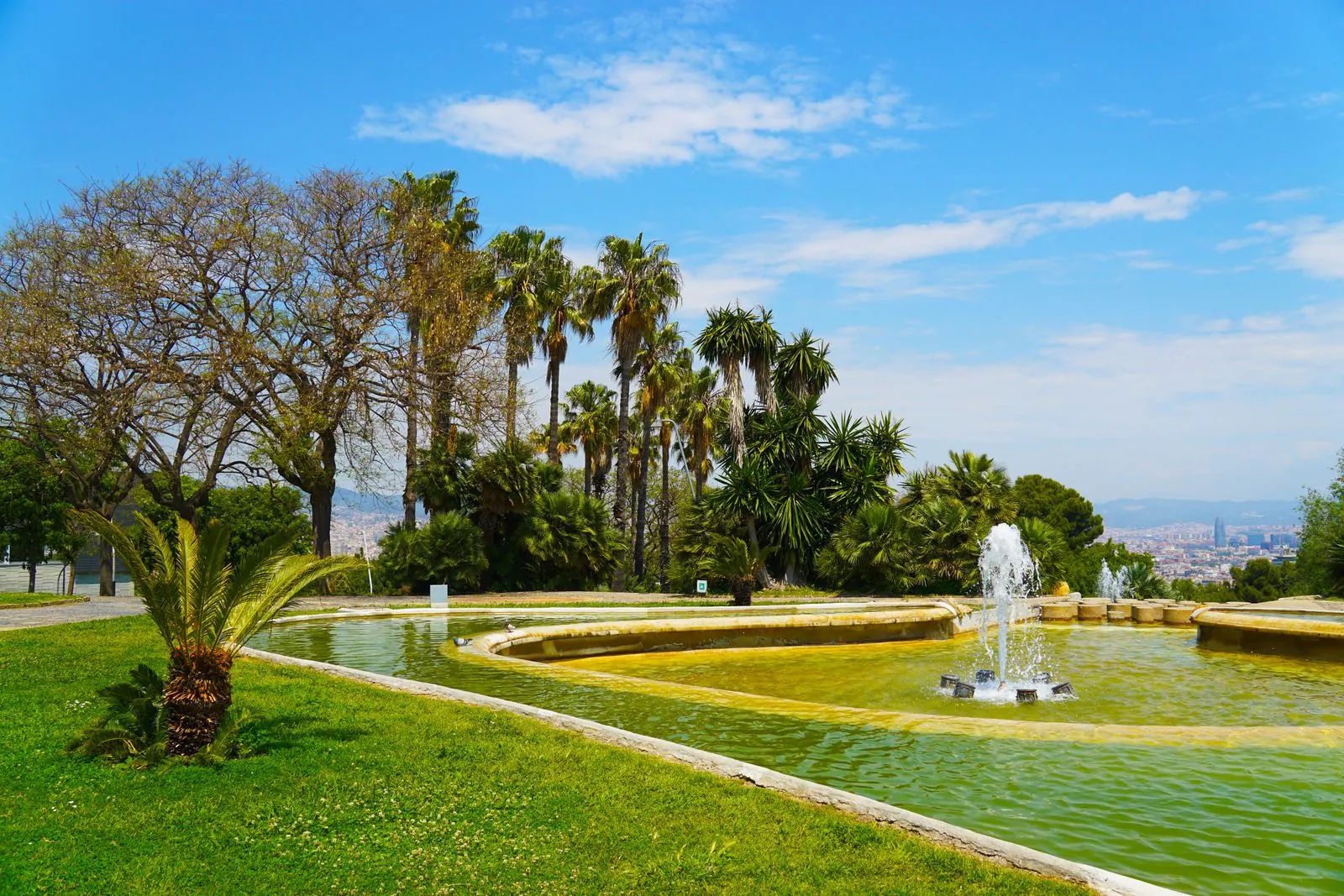 Combinatie van hoogte en natuur bij Montjuïc