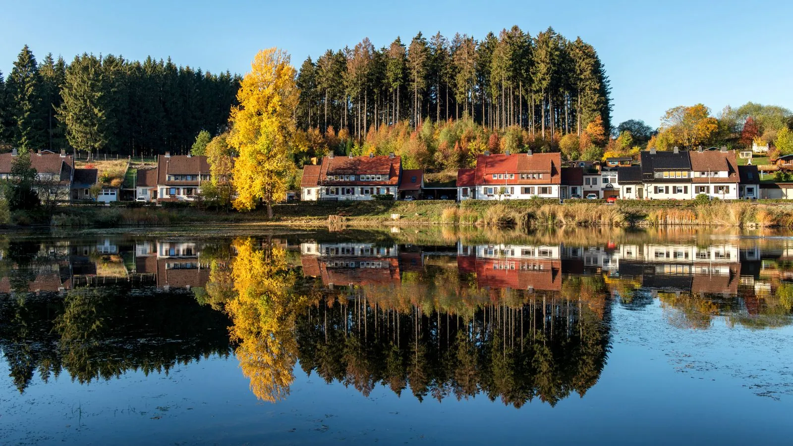 Vakantiehuis in Bad Sachsa