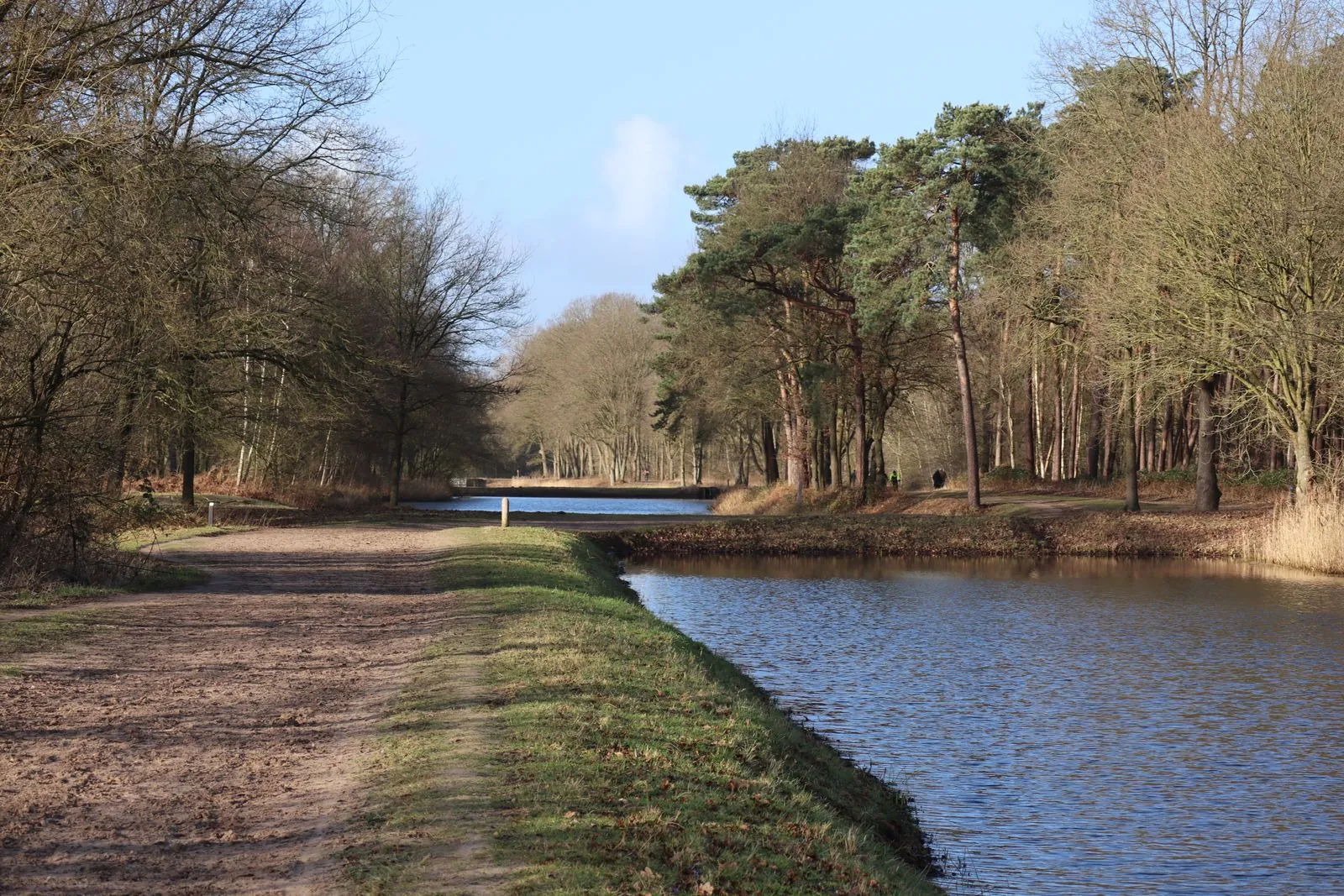 Waar kun je avontuurlijk wandelen in het Zoniënwoud?