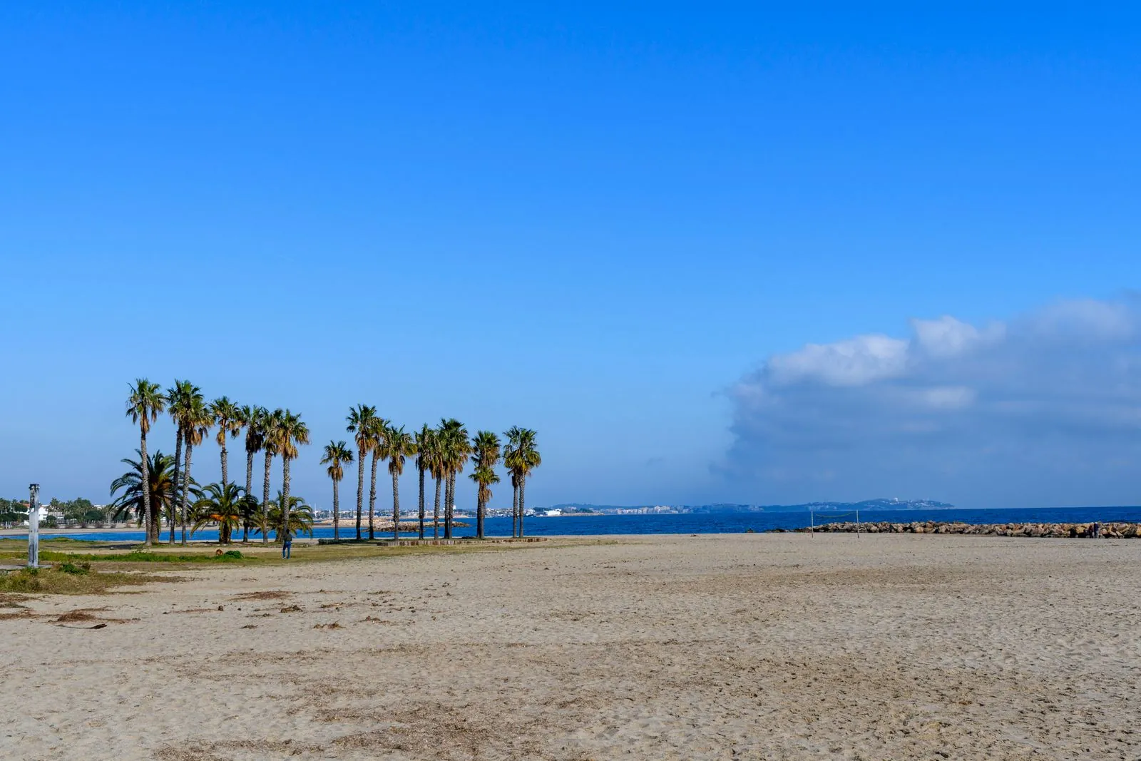 Verse visgerechten proeven in Cambrils