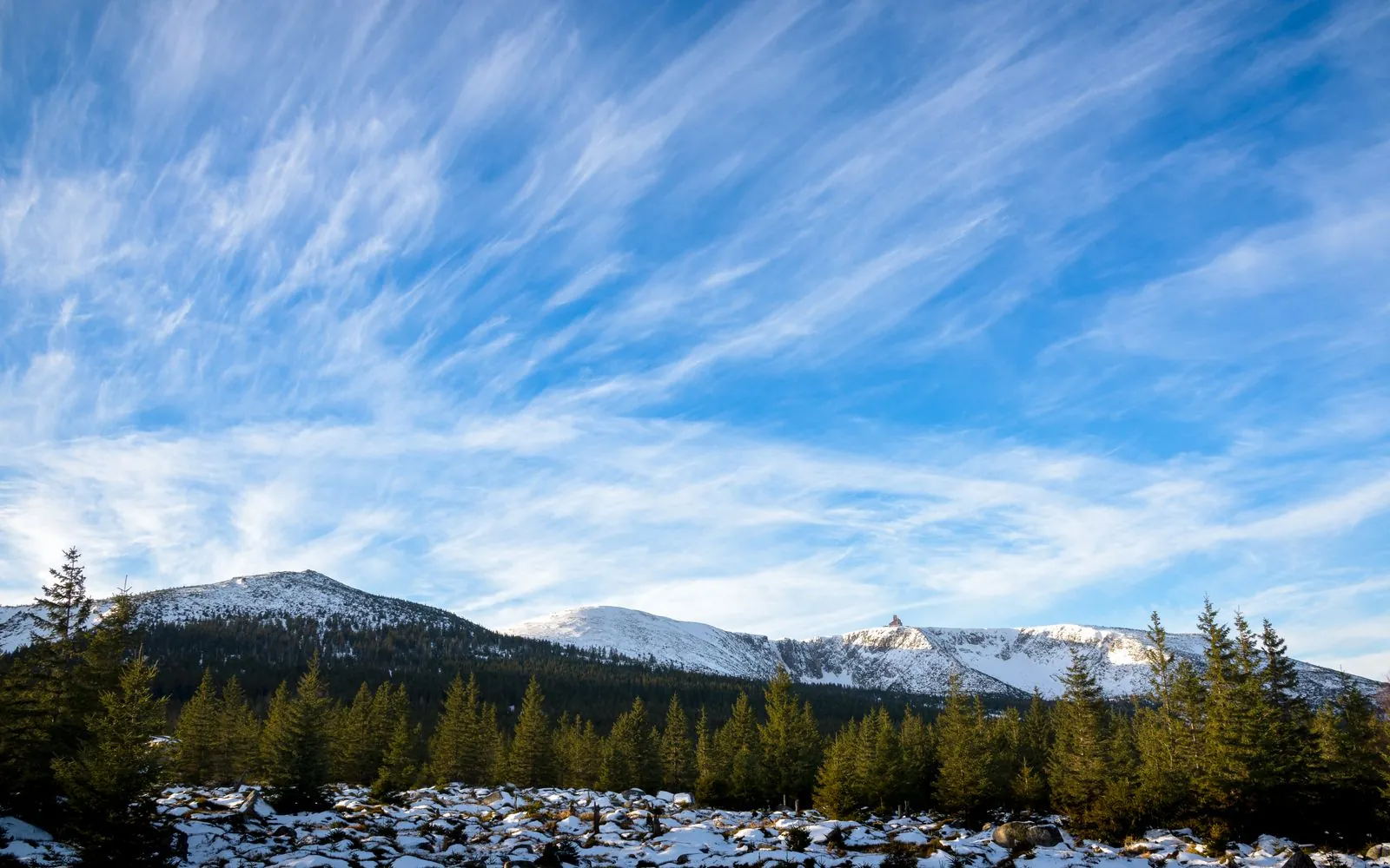 Wat biedt Krkonoše Nationaal Park aan natuur?