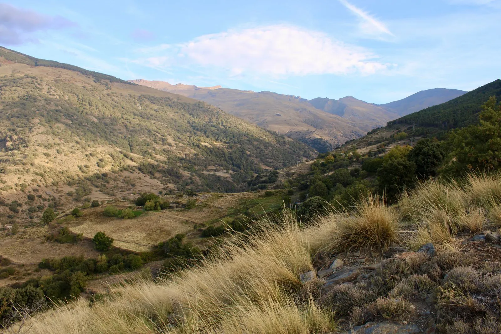 Wandeling langs de kastanjebomen in Sierra de Gata