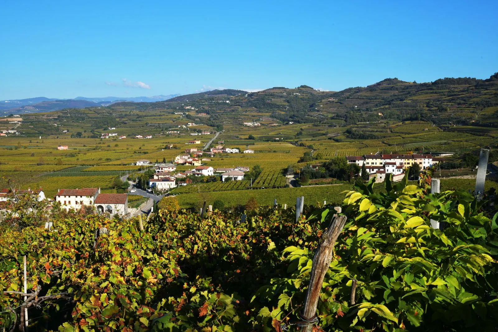 De wijngaarden en villa's van de regio Valpolicella