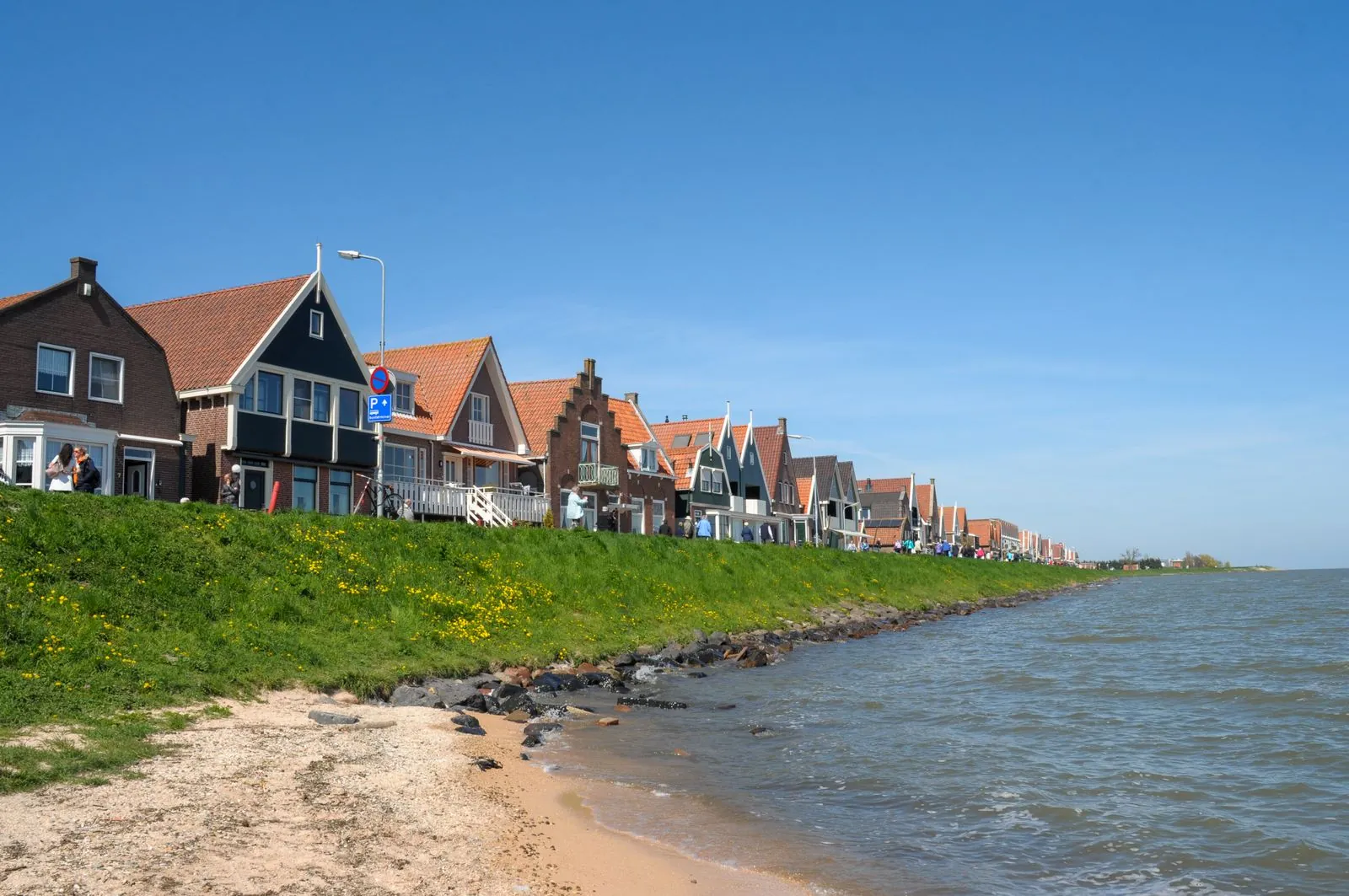 Flora en fauna van de Westlandse kust