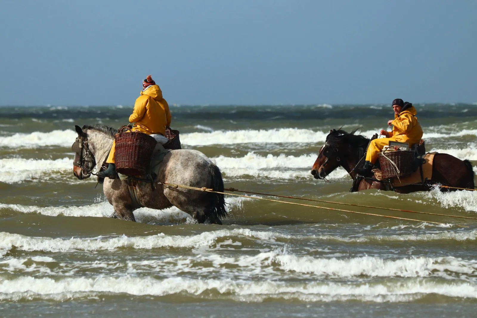 Vakantiehuis in Koksijde