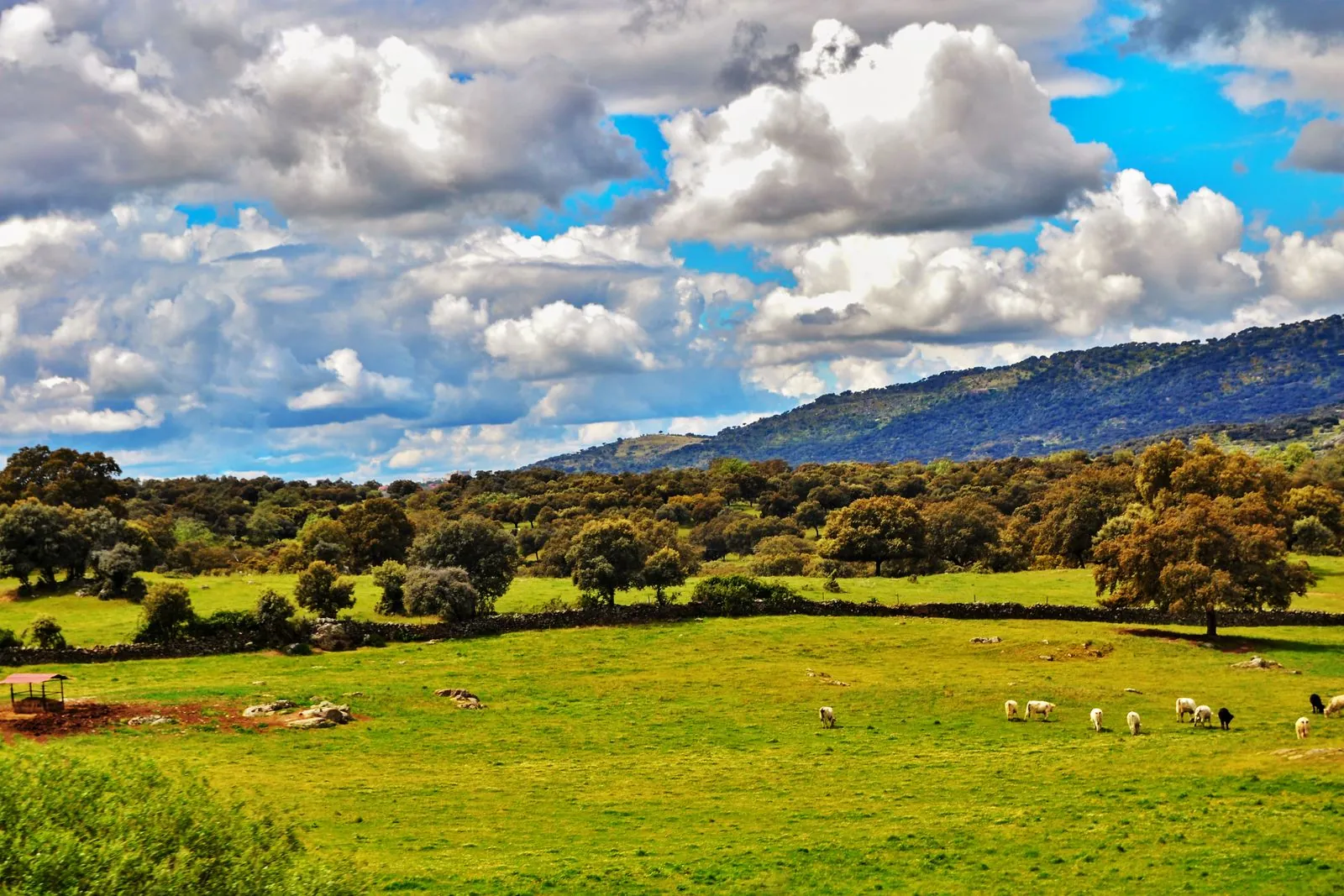 Genieten van rust en natuur in de Sierra de Gata