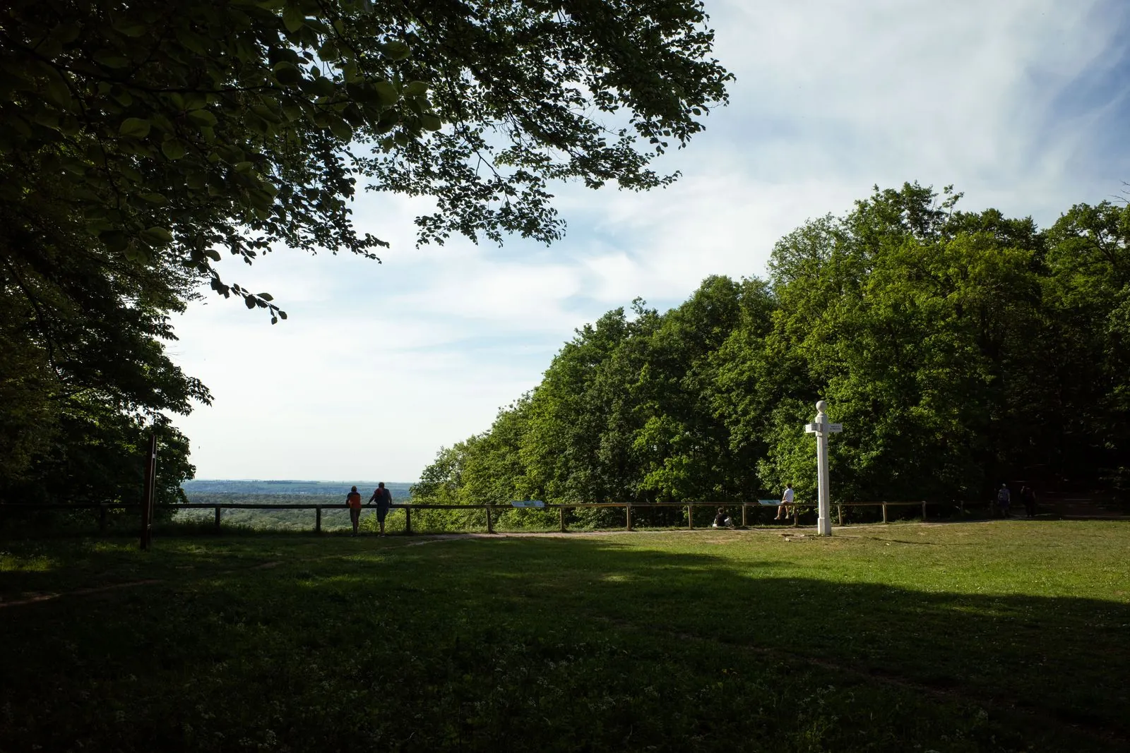 Wandelen in het bos van Compiègne