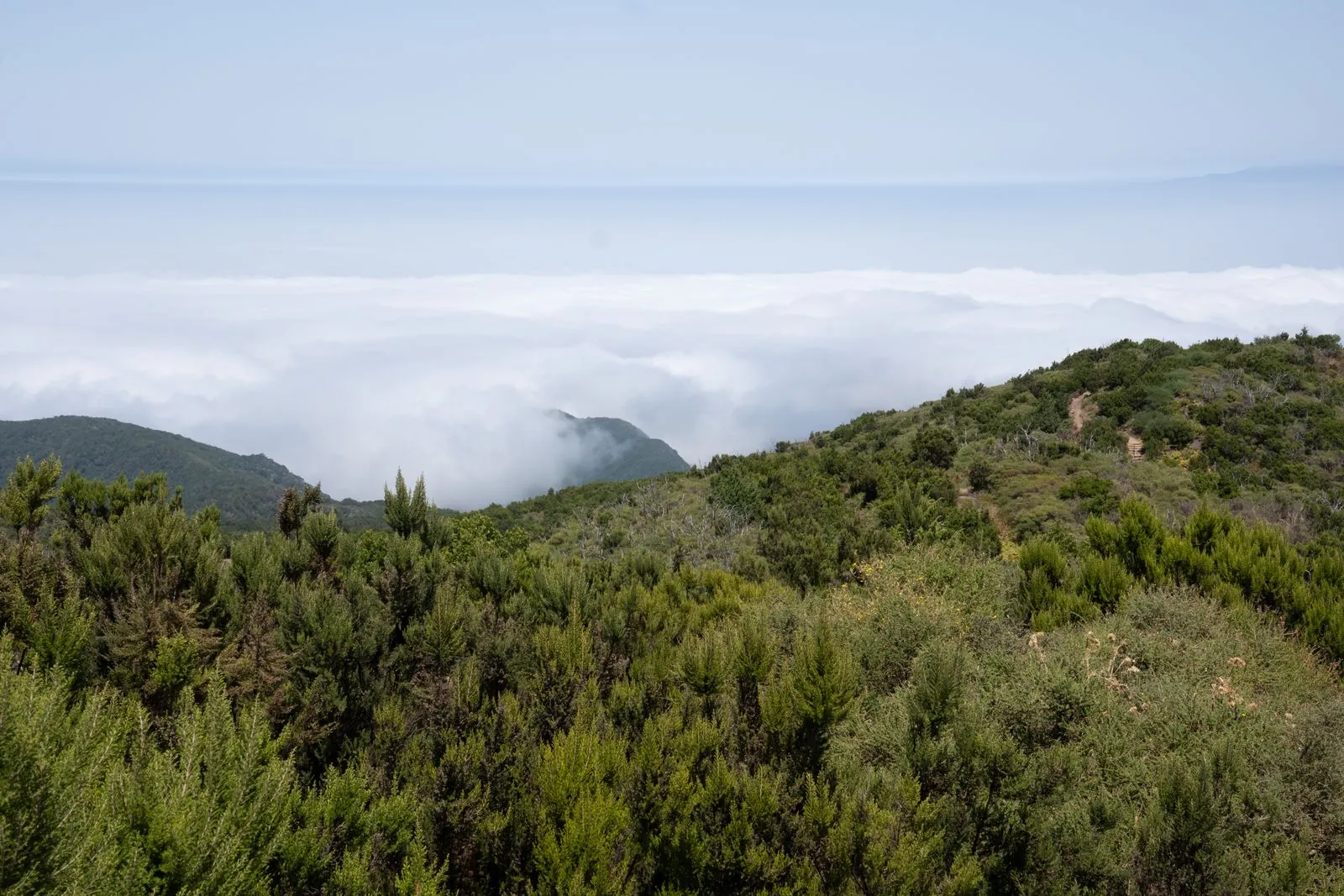 Avontuurlijke wandelingen in het nationaal park Garajonay op La Gomera