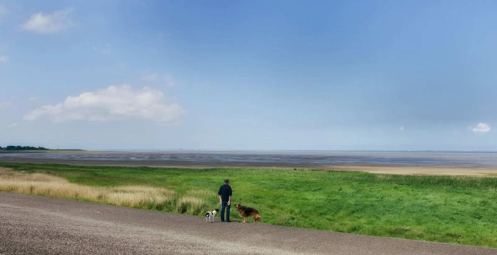 Natuur ervaren in het Waddenzee Nationaal Park