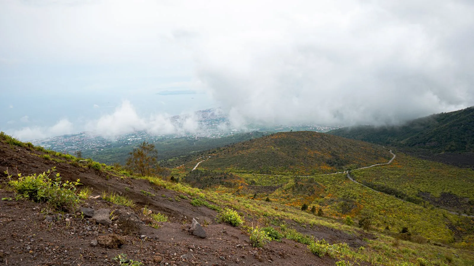 Het nationaal park Vesuvius: op de rand van de vulkaan