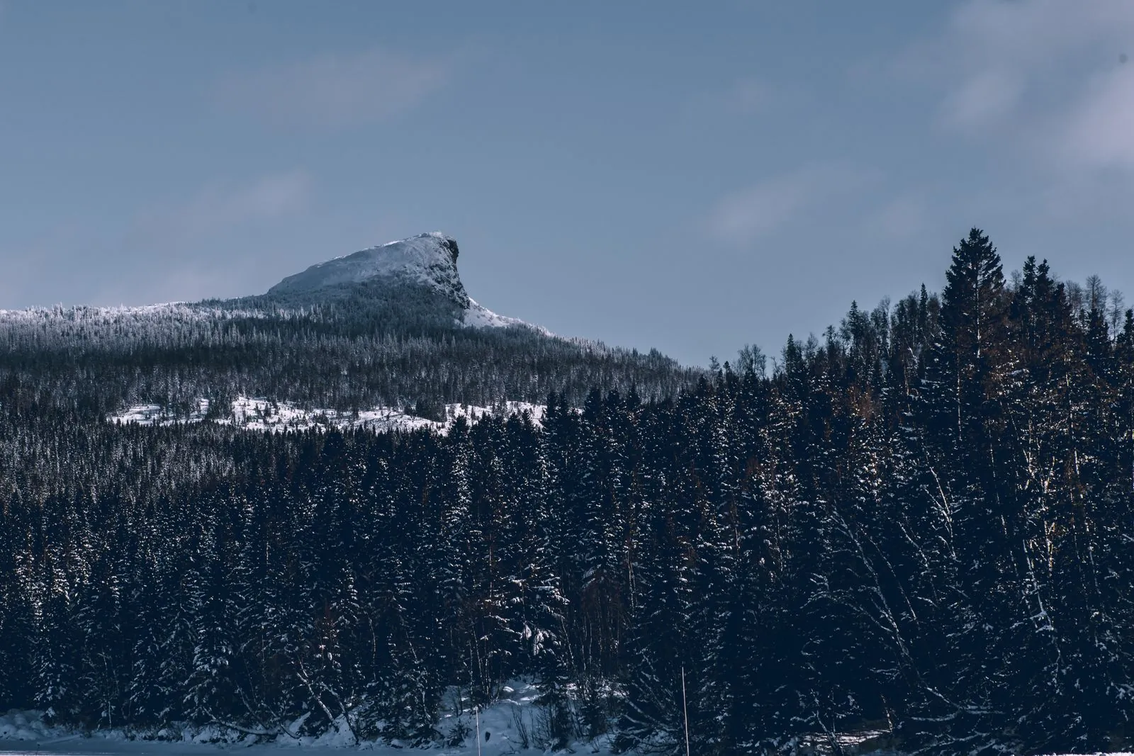 De ongerepte natuur van Jämtland ontdekken