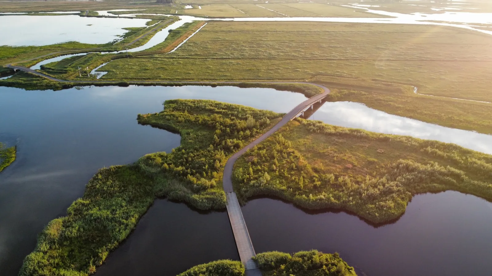 Regio Biesbosch