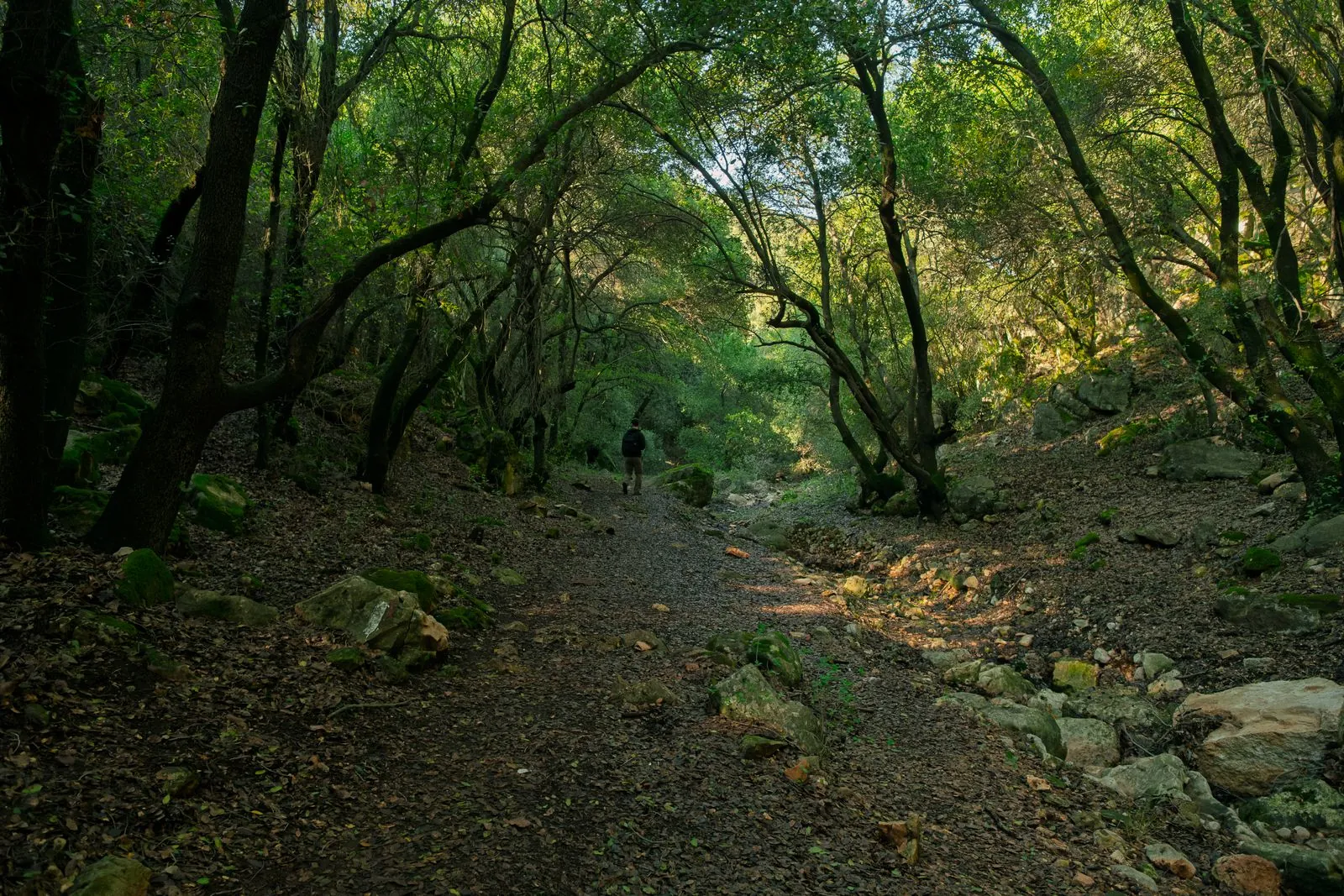 Combinatie van cultuur en natuur tijdens wandelroutes